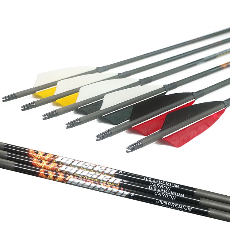 Arr-ZY-pure carbon arrow sp (1)