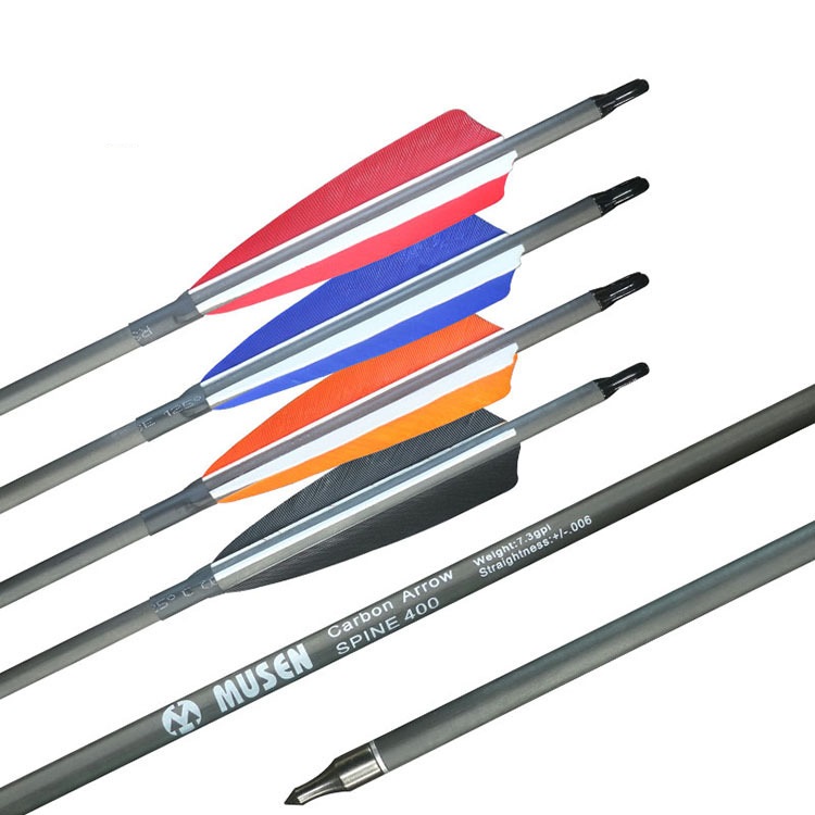 Arr-ZY-pure carbon arrow sp -2