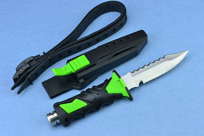 QS-1 (6)