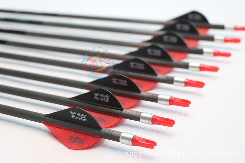 compound bows (10)