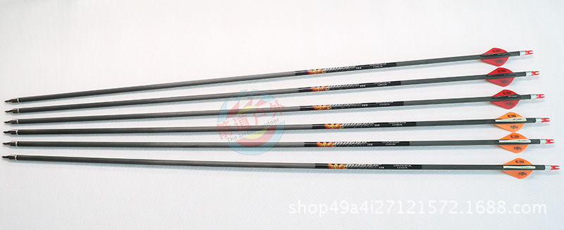 compound bows (13)