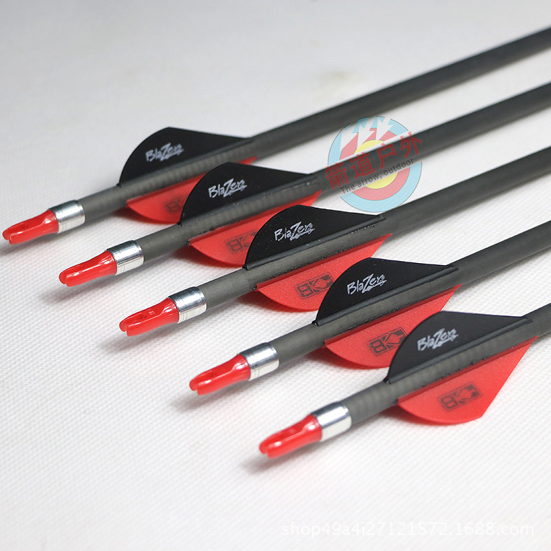 compound bows (6)