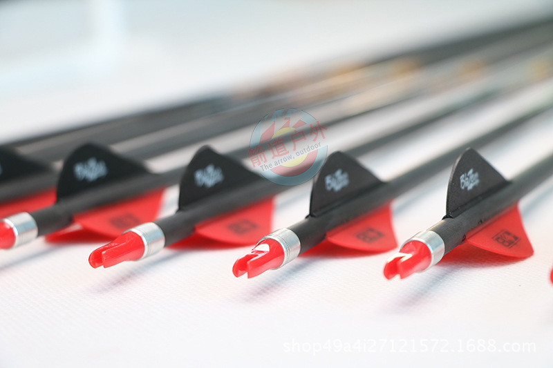 compound bows (8)
