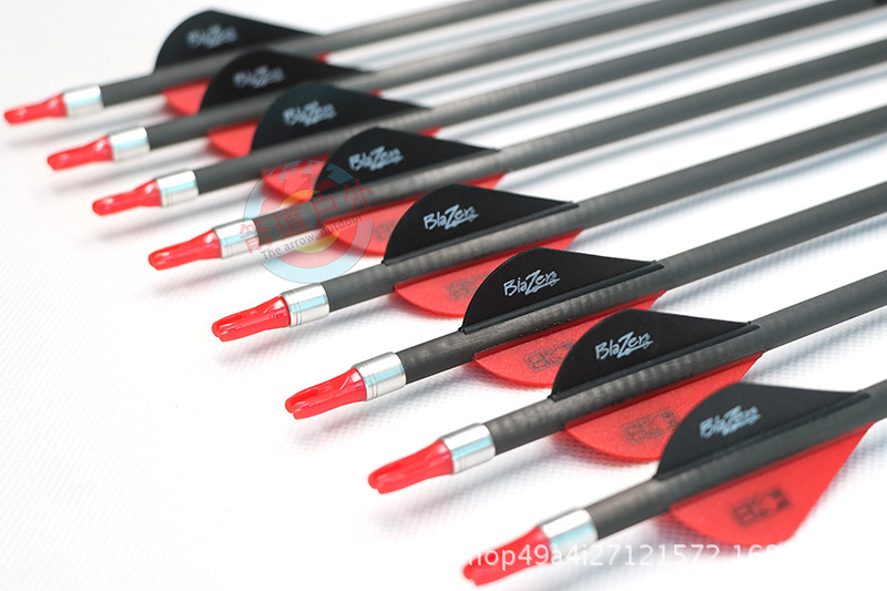 compound bows (9)