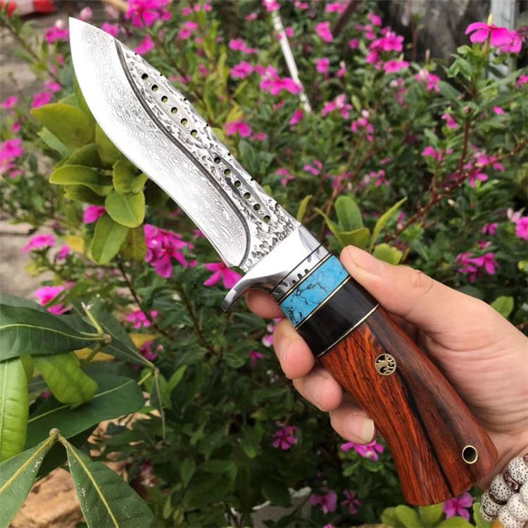DMK-19 (5)